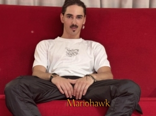 Mariohawk