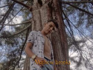 Mathew_brooks