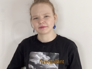 Maygallant