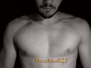 Mecchaud123