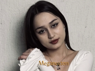 Meganecton