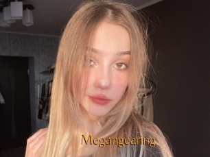 Megangearing