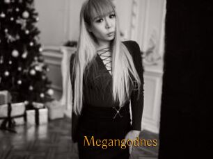 Megangodnes