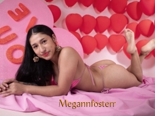 Megannfosterr