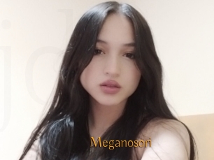 Meganosori