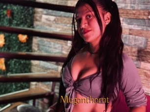 Meganthornt