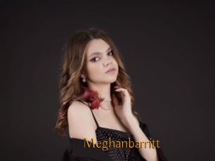 Meghanbarritt