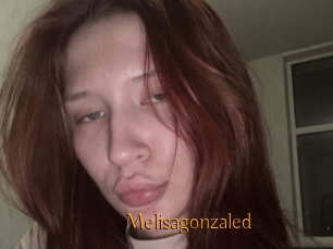 Melisagonzaled