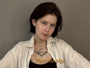 Meryldavidge