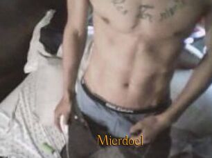Mierdoel