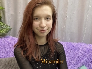 Minamiler