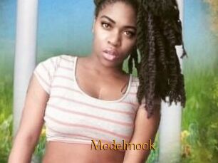 Modelmook