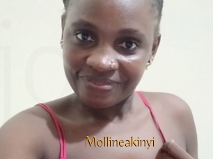 Mollineakinyi
