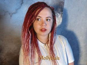 Mollybuls
