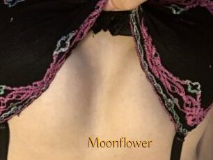 Moonflower