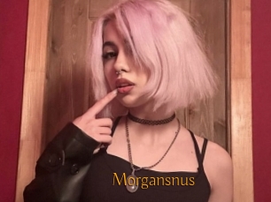Morgansnus