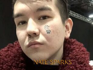 NATE_SPARKS
