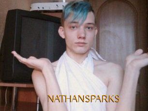 NATHAN_SPARKS