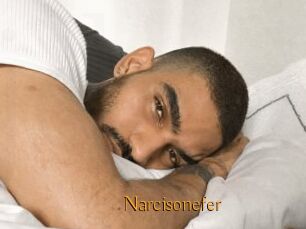 Narcisonefer