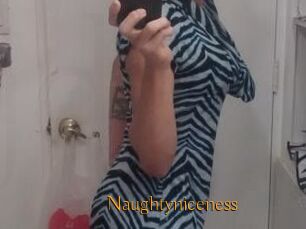 Naughtyniceness