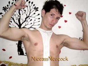 NiceassNcecock