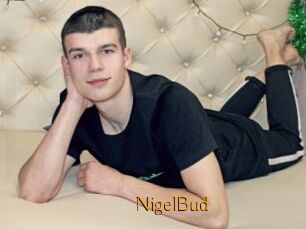 NigelBud