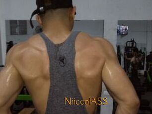 NiiccolASS