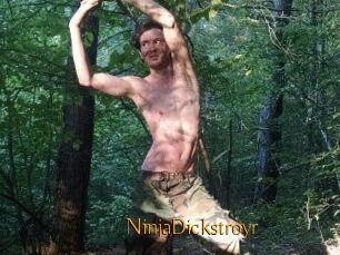 NinjaDickstroyr