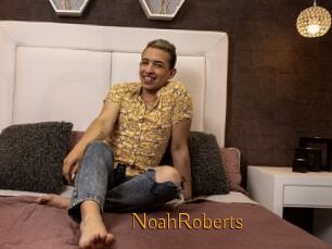NoahRoberts