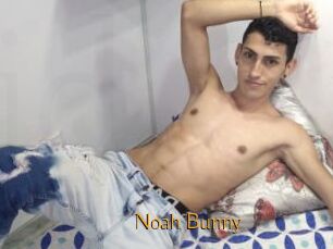 Noah_Bunny