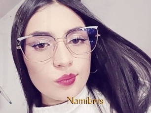 Namibms