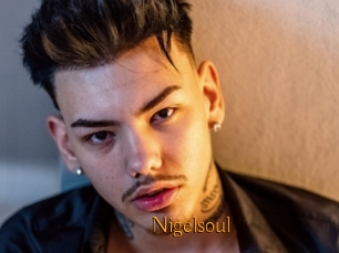 Nigelsoul