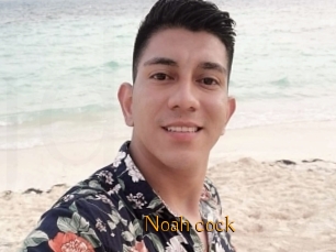 Noah_cock