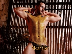 Noahallen