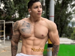 Noaharris19