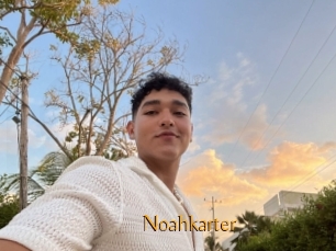 Noahkarter