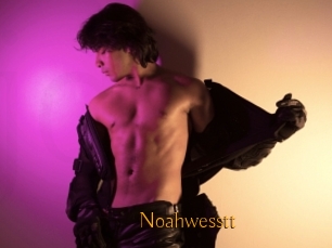 Noahwesstt