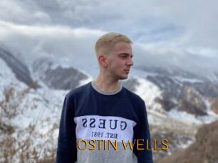 OSTIN_WELLS
