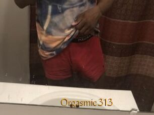 Orgasmic313