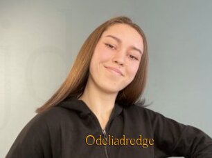 Odeliadredge