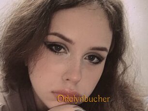 Odelynbucher