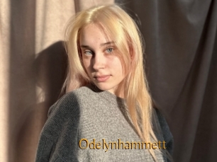 Odelynhammett