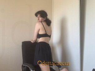 Odettacaecus