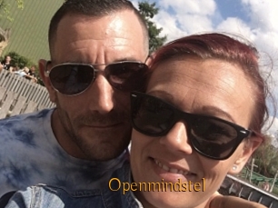 Openmindstel
