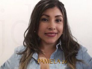 PAMELA_zv