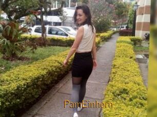 PamEinhorn