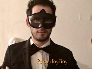 PerverToyBoy