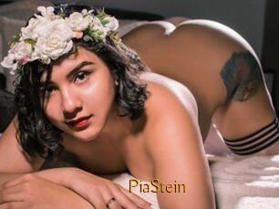 PiaStein
