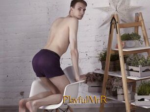 PlayfulMrR
