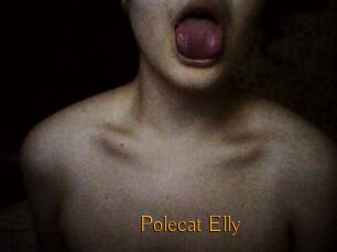 Polecat_Elly